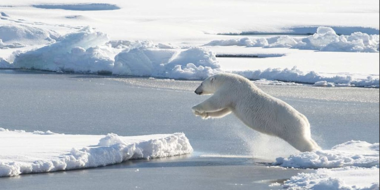 deshielo polar - LA VISION 360 El Deshielo Polar Se Acelera; Nivel Del Mar En Aumento