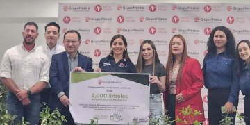 Monterrey Recibe 3 Mil Árboles De Grupo México Para Reforestar