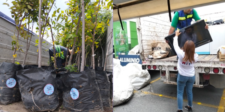 Conjunta Monterrey acciones a favor del medio ambiente - VISION 360 - LA VISION 360 Monterrey Verde: Municipio Refuerza Su Compromiso Ambiental