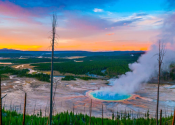 parque-yellowstone