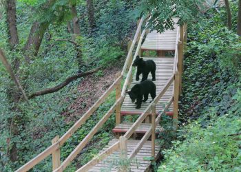 chipinque-reserva-natural