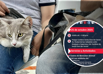 esterilización-y-adopción