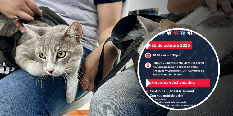 Feria de Bienestar Animal - VISION 360 - LA VISION 360 esterilización-y-adopción