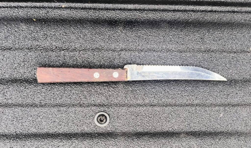 WhatsApp Image 2025-11-29 at 21247 PM 1 - LA VISION 360 detienen-en-la-colonia-la-esperanza-un-intento-de-feminicidio-escudo