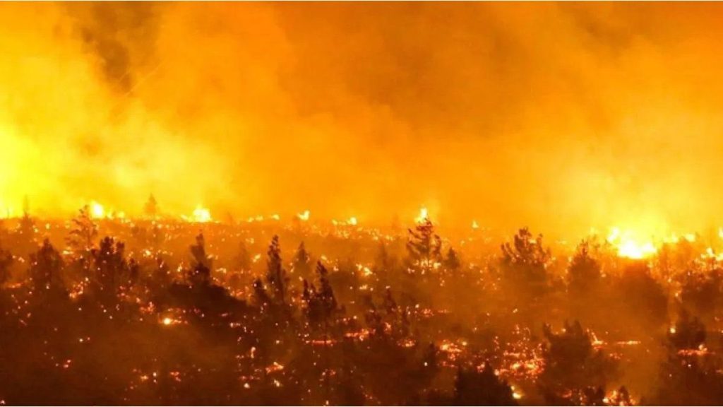 incendios-en-Chile-sur-de-Chile-baja-humedad-Gabriel-Boric-evacuaciones