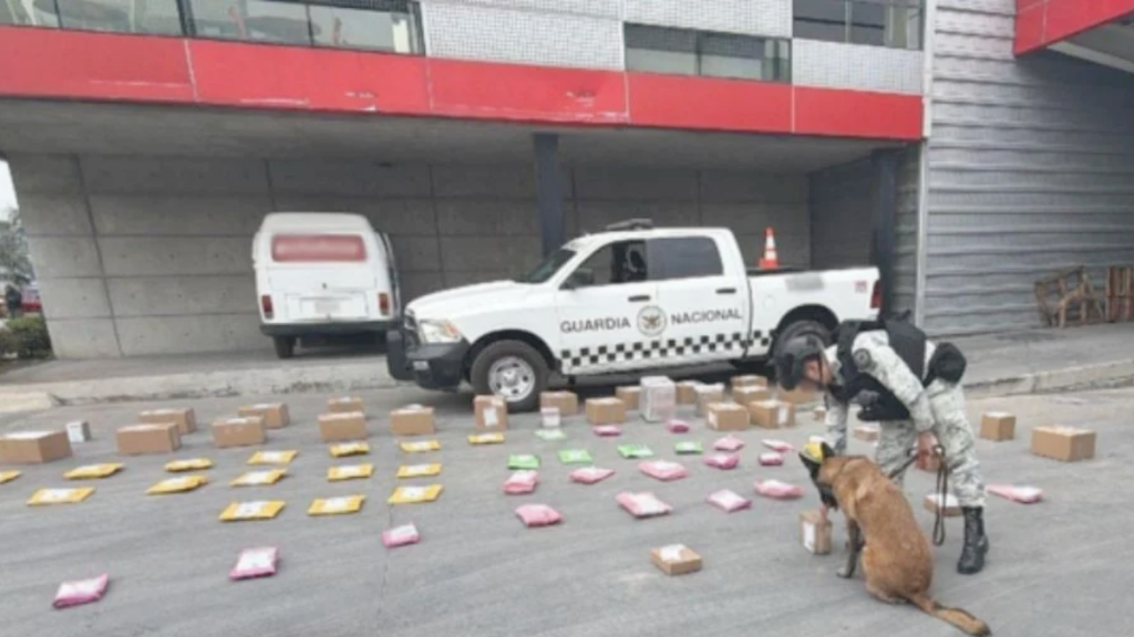 decomiso-de-droga-binomios-caninos-Guardia-Nacional-empresa-de-mensajería-Santa-Catarina