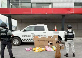 decomiso-de-droga-binomios-caninos-Guardia-Nacional-empresa-de-mensajería-Santa-Catarina