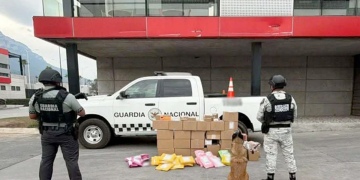 decomiso-de-droga-binomios-caninos-Guardia-Nacional-empresa-de-mensajería-Santa-Catarina