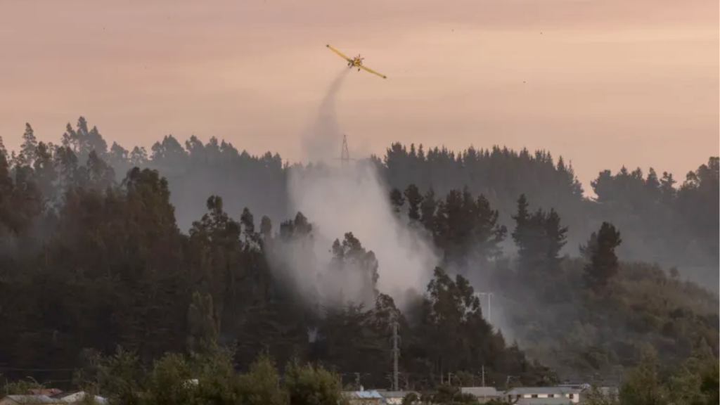incendios-en-Chile-sur-de-Chile-baja-humedad-Gabriel-Boric-evacuaciones