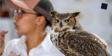 conservación-de-aves-nativas-escobedo-andrés-mijes-medio-ambiente-claudia-sheinbaum