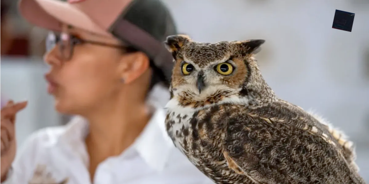 - LA VISION 360 conservación-de-aves-nativas-escobedo-andrés-mijes-medio-ambiente-claudia-sheinbaum