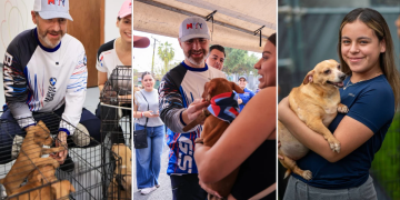 Chihuatón-Monterrey-adopción-responsable-bienestar-animal-Centro-de-Bienestar-Animal-DIF-Monterrey