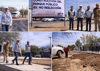portada. av. no reeleccción para el parque lineal