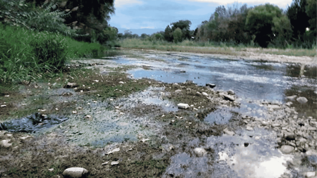 Descargas de drenaje deja Aguas residuales en Montemorelos